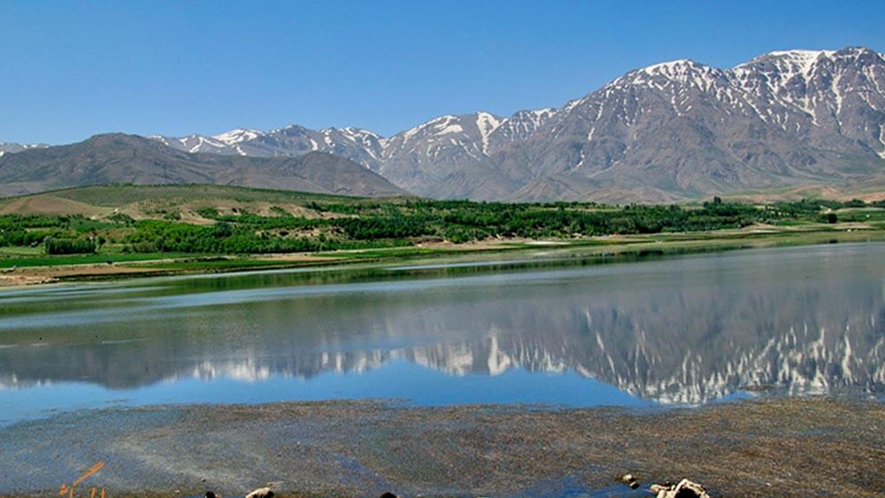 آراد الکترونیک