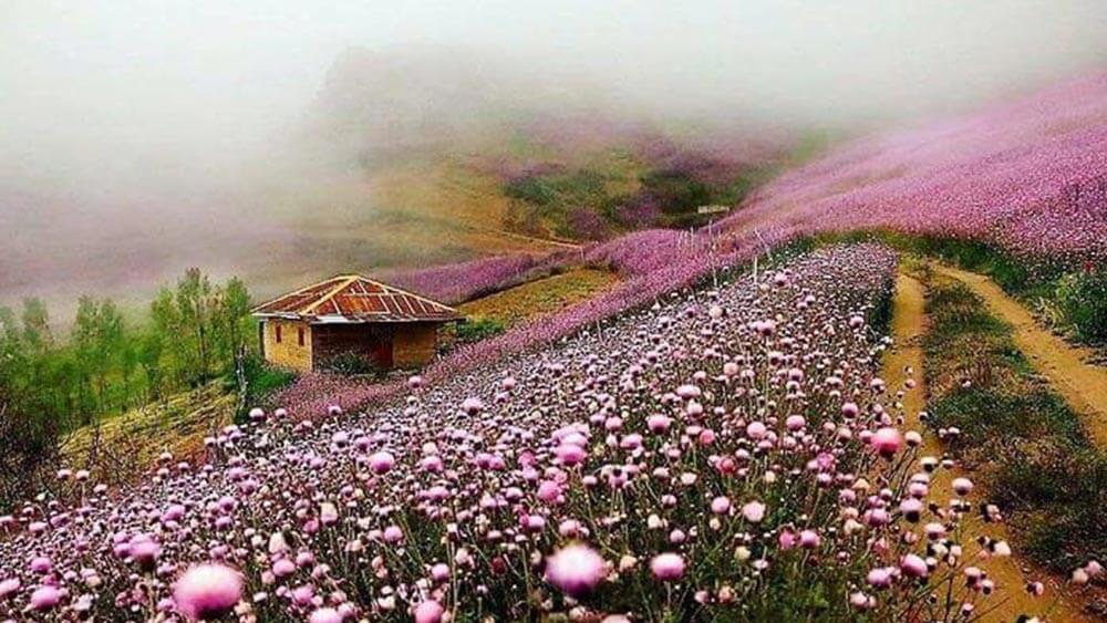 بیدار رایانه شمال