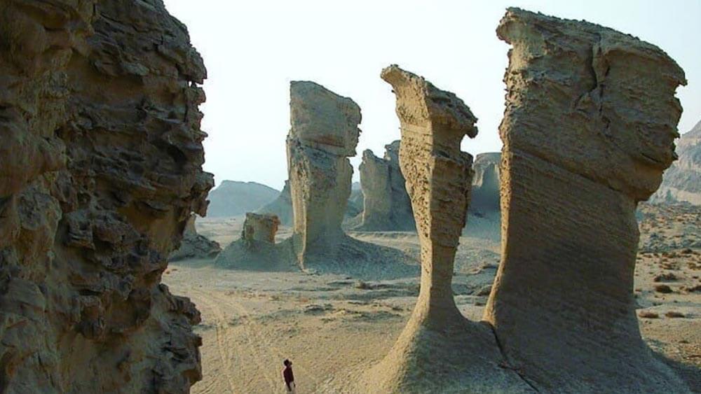 شرکت هامون پردازش